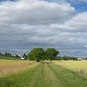 environnement